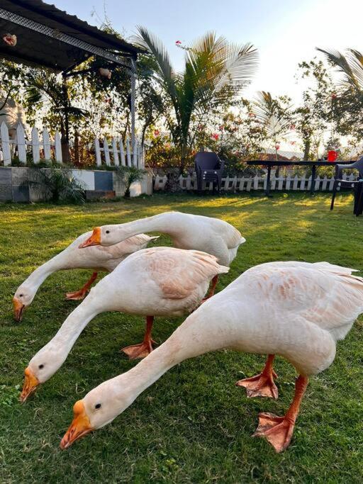 Saifarms Private Farmhouse Between Pune & Lonavala Nethersole Dam Exterior photo